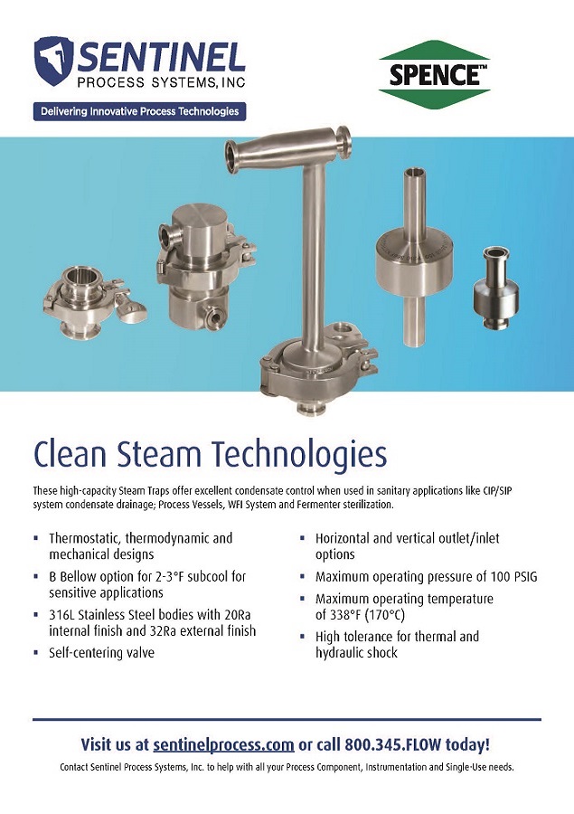 Clean Steam Technologies Flyer